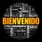 Bienvenido - Welcome in Spanish, word cloud