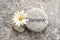 Bienvenue meaning welcome in french written on a stone with a daisy