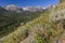 Bierstadt Moraine Wildflowers and Continental Divide