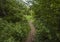 Bieszczady - a mountain range, Poland, Europe; a path.