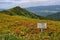 Bieszczady Mountains