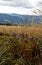 Bieszczady Mountains