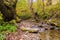 Bieszczady mountains forest