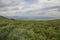 Bieszczady Mountains, south Poland, Europe - green meadows and cloudy skies.