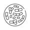 bifidobacterium probiotics line icon vector illustration