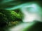 Big abandoned boulder covered by fresh green moss in foamy water of mountain river. Light blurred cold water with reflections