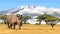 Big African rhino walking in savanna in Africa vector illustration