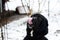 Big Alabai dog licks, portrait photo in snow weather