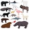 Big animal collection. Vector set of wild animals, birds, fishes