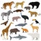 Big animal collection. Vector set of wild animals, birds, fishes