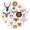 Big animal face icon set. Cartoon heads of fox, rhino, bear, raccoon, hare, lion, owl, rabbit, wolf, hippo, elephant