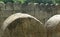 Big arches of the vellore fort wall with trees landscape