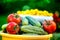 Big autumn harvest. Shot of bucket of freshly picked ripe red tomatoes, cucumbers and small yellow plums