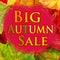 Big autumn sale