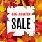 Big Autumn Sale banner template with fall leaves border frame