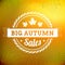 Big autumn sales vintage typography poster