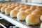In a big bakery industry, baking bread in industrial