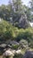 A big banyan tree trunk and an old temple