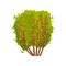 Big barberry bush. Shrub with ripe berries and green foliage. Agricultural plant. Organic product. Flat vector icon