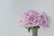 Big beautiful bouquet of pink peonies in vase on white background, lots of copy space.