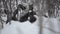 Big beautiful brown moose and calf resting in deep cold winter forest in the arctic circle wilderness