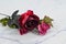 Big beautiful red rose and pink roses laying on white marble background, dare to be different, different beauty, unique beauty,