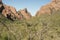 Big Bend National Park view of mountains from Window trail; sandstone cliffs and forest scene