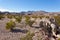 Big Bend Ranch State Park Texas desert landscape