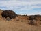 Big black lava stones at the hiking trail to the big famous volcano Pico del Teide in Tenerife, Europe