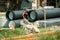 Big black and orange plastic water supply or sewerage drainage pipes prepared for pipeline reconstruction in the city district