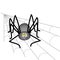 Big black smiling spider sitting on a cobweb in the corner, on an isolated background