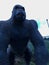 Big black strong wild blue evil monkey, gorilla with open maw