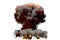 Big blast 3D illustration of detailed fire mushroom cloud explosion with flames and smoke, it looks like hydrogen bomb or any