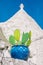 Big blue ceramic vase or pot with cactus on the roof of beautiful Trulli or Trullo house in Puglia, Italy