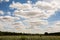 Big blue cloudy sky over water meadow on nature reserve