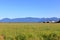 Big Blue Rural Sky and Grassland