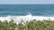 Big blue tide waves on beach, California shoreline USA. Pacific ocean coast, greenery on sea shore.