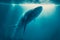 Big blue whale underwater. The concept of the World Whale Day and protection of marine animals.