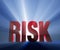 Big, Bold Risk