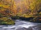 Big boulders with fallen leaves. Autumn mountain river banks. Gravel and fresh green mossy boulders on banks with colorful