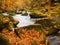 Big boulders with fallen leaves. Autumn mountain river banks. Gravel and fresh green mossy boulders on banks with colorful