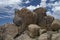 Big Boulders Joshua Tree National Park