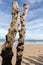 Big breakwater, 3000 trunks to defend the city from the tides, Plage de l`Ã‰ventail beach in Saint-Malo,