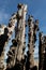 Big breakwater, 3000 trunks to defend the city from the tides, Plage de l`Ã‰ventail beach in Saint-Malo, Ille-et-Vilaine,