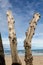 Big breakwater, 3000 trunks to defend the city from the tides, Plage de l`Ã‰ventail beach in Saint-Malo, Ille-et-Vilaine,