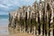 Big breakwater, 3000 trunks to defend the city from the tides in Saint-Malo, Ille-et-Vilaine, Brittany,