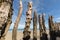 Big breakwater, 3000 trunks to defend the city from the tides in Saint-Malo, Ille-et-Vilaine, Brittany,