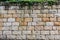 Big bricks and vegetation background