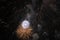 Big bright firework ball and star in dark sky with wads of smoke and dropping fireworks in background