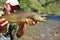 Big brown trout in the hands of fisherman